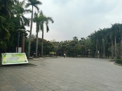 -金花茶公园