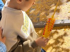 -辽东学院(南校区)