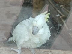 -青藏高原野生动物园