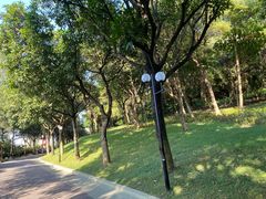 -云溪植物园