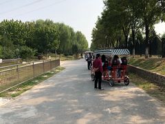 -永定河休闲森林公园