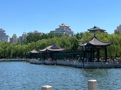 -莲花池公园