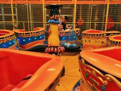 -南宫五洲植物乐园