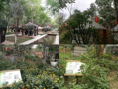 -草根堂农场