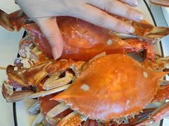 -金海湾海鲜排档(朱家尖店)