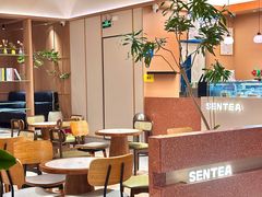 -森茶(湛江万达店)