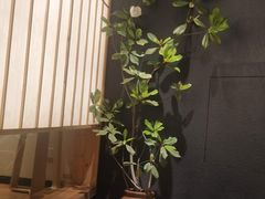 -和枫(众意路店)