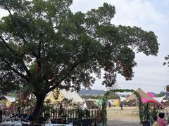 -长洲岛都市农业公园