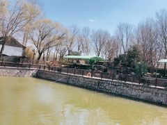 -尚庄度假村·庭台树下·户外烧烤·团建CS·轰趴营地(上庄水库店)