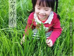 -金色雨林感统学能培训中心(武广校区)