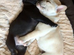 -鸟先生居酒屋(东湖馨园店)