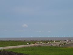 -南汇嘴观海公园