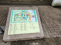 -九龙公园