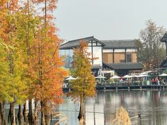 -白鹭湾湿地公园