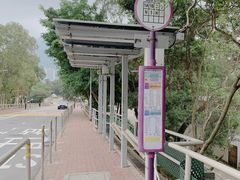 -大埔公路-马料水段香港中文大学(公交站)