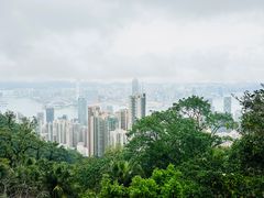 -太平山顶