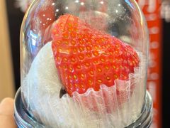 -浅草莓座(あさくさいちござ)