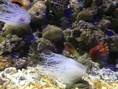 -福州罗源湾海洋世界旅游区