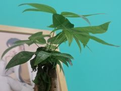 -拍刻风照相馆(紫荆广场店)