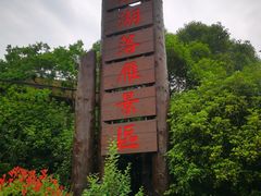 -东湖落雁景区
