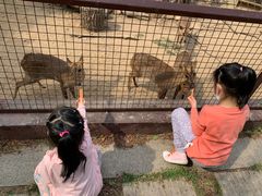-青岛森林野生动物世界
