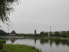 -西海子公园