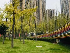 -府河摄影公园