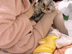 -三花喵·撸猫购宠·宠物生活馆(虹桥南丰城店)