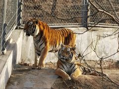 -石家庄市动物园