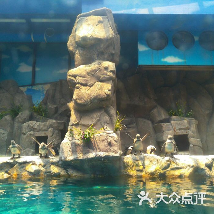 济州岛水上星球水族馆