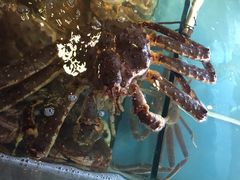 -蟹之国·精品蟹料理(极地店)