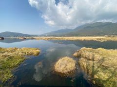 -腾冲北海湿地