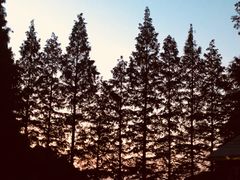 -九华山聚龙大酒店