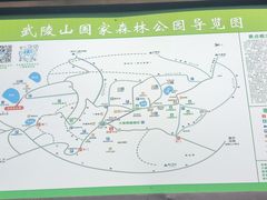 -武陵山森林公园