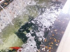 -哈尔滨东北铁锅炖(都督街店)