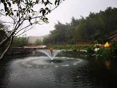 -南海鸽天下(肇庆店)