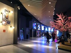 -新影联·华谊兄弟影院(望京店)