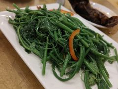 佛手瓜苗-粤北餐馆