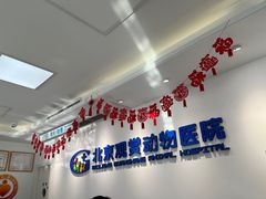 -北京观赏动物医院·24小时大型综合·猫专科·异宠专科