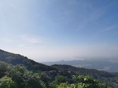 -海南铜鼓岭景区