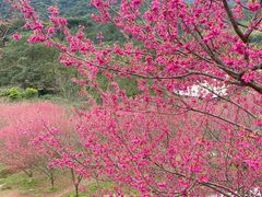 -福清灵石山国家森林公园