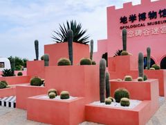 -漳州滨海火山岛自然生态风景区