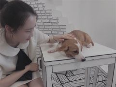 -白夜2D咖啡馆