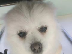 -怪兽屋·羊驼·猫咖·狗咖(俊华广场店)