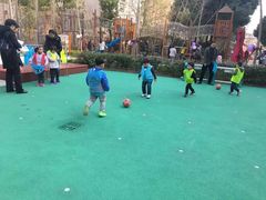 -紫薇实验幼儿园(桂平路校区)