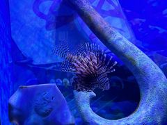 -南昌融创海世界