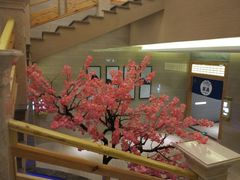 -纽斯洗浴SPA(三墩店)
