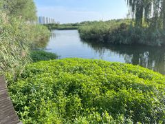 -鉴湖国家城市湿地公园