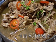 -浩爷羊蝎子火锅(望京店)