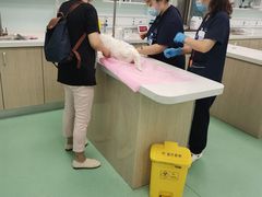 -北京观赏动物医院·24小时大型综合·猫专科·异宠专科